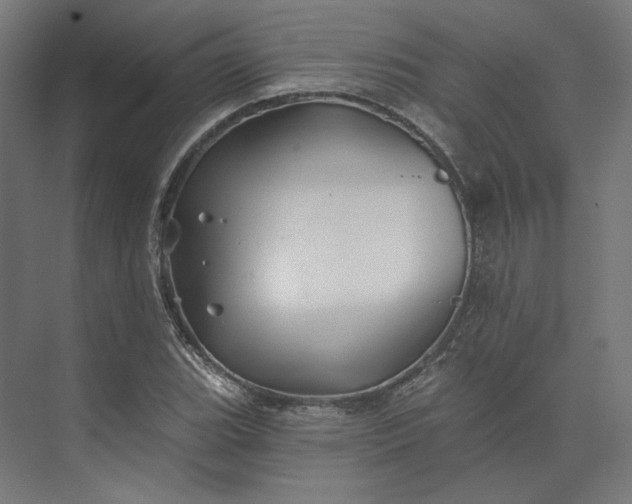 X0000074041119200609061200