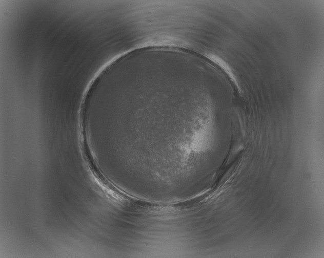 X0000074041120200609061200