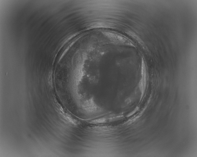 X0000074041121200609061200