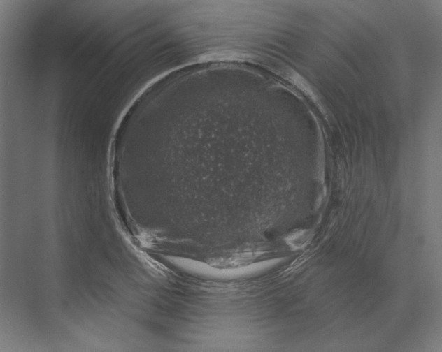 X0000074041124200609061200