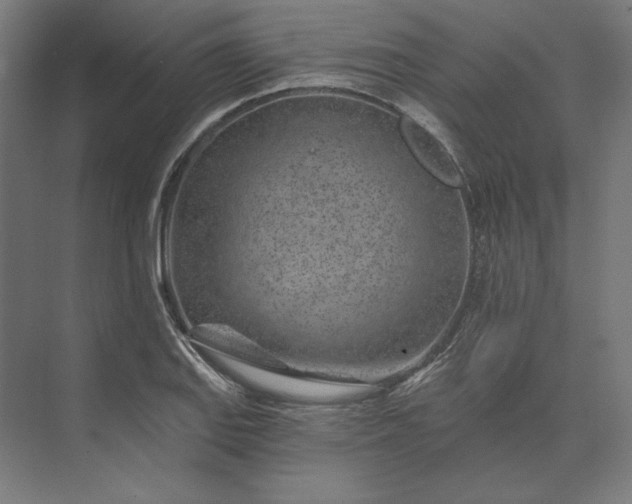 X0000074041127200609061200