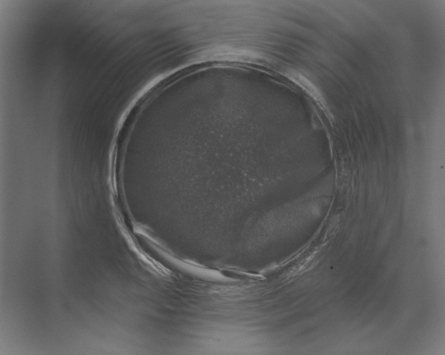 X0000074041128200609061200