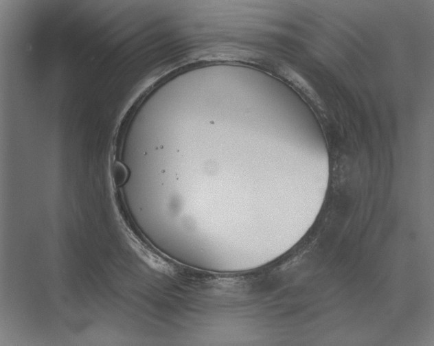 X0000074041130200609061200