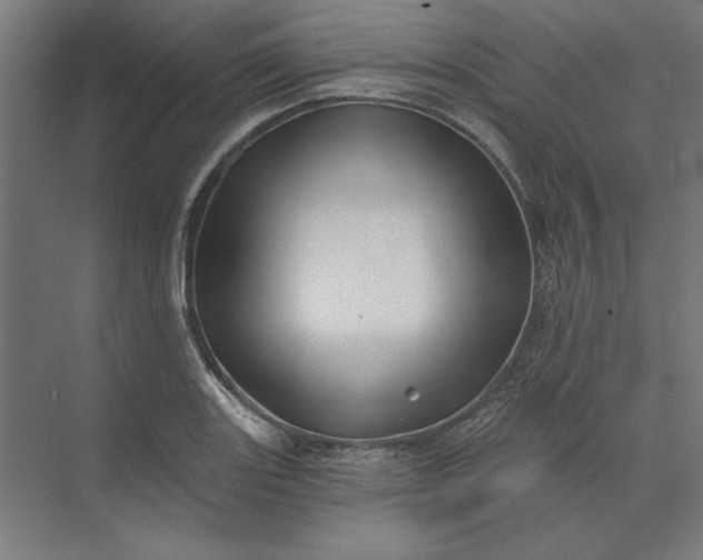 X0000074041131200609061201