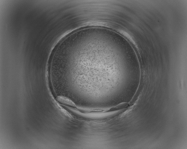 X0000074041133200609061201