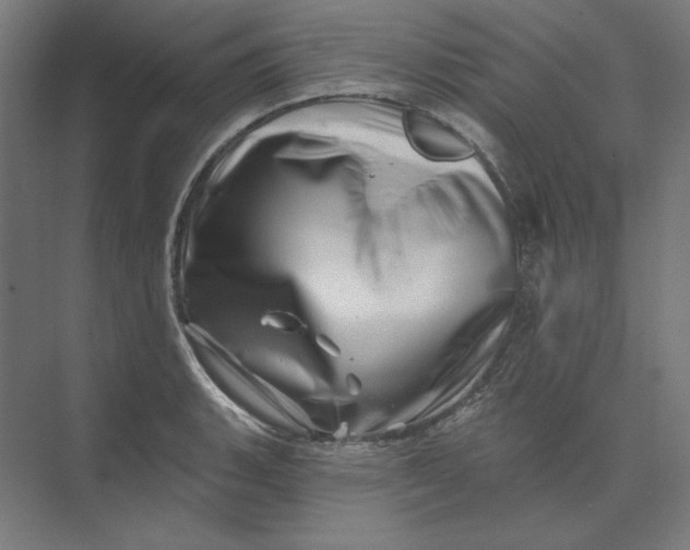 X0000074041135200609061201