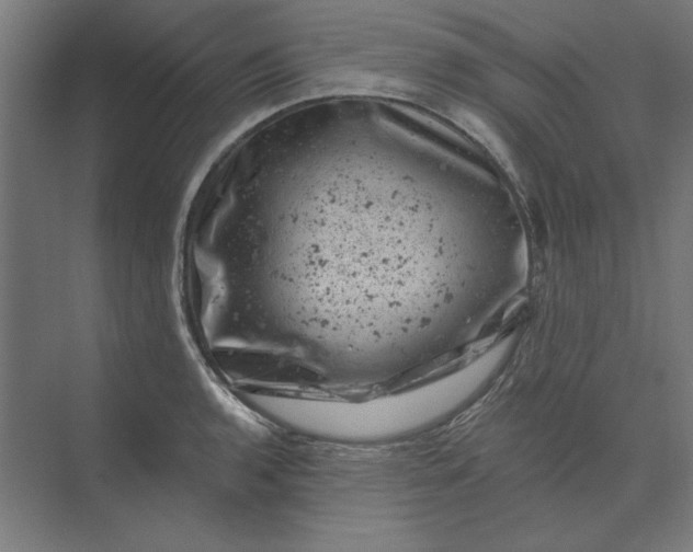 X0000074041136200609061201