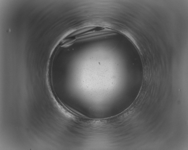 X0000074041139200609061201