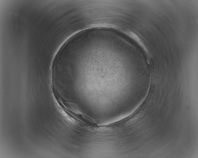 X0000074041140200609061201