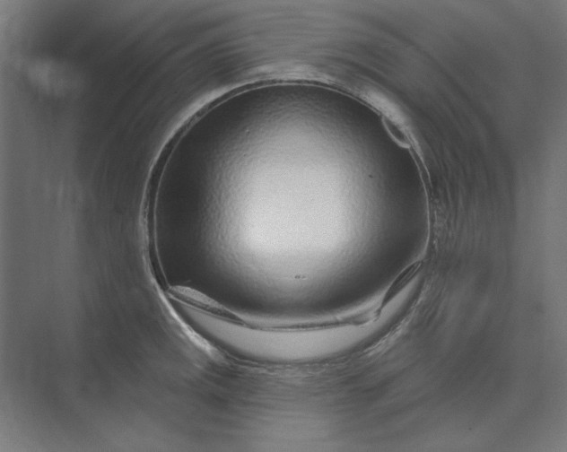 X0000074041141200609061201