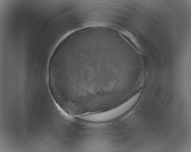 X0000074041143200609061201