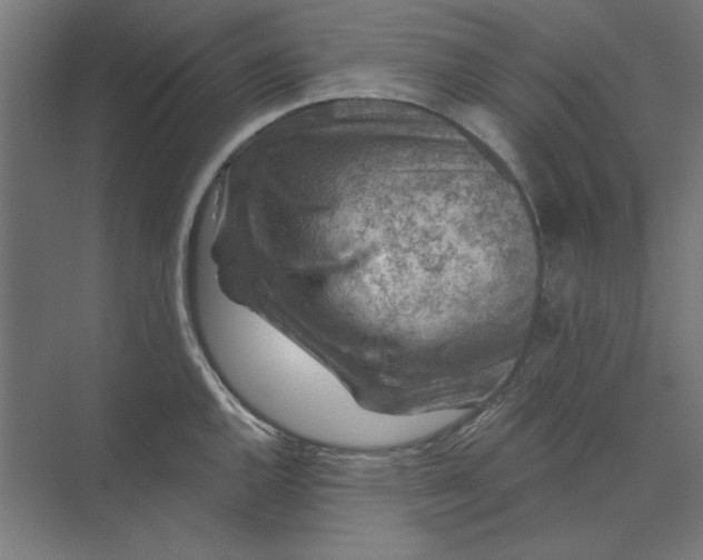 X0000074041144200609061201