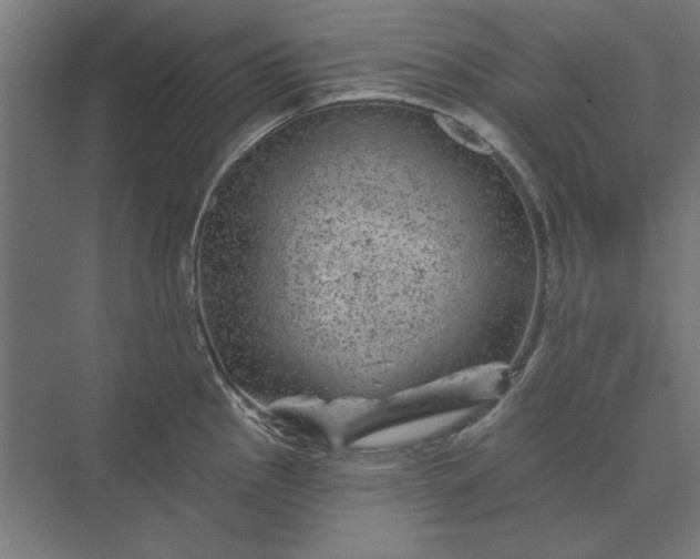 X0000074041145200609061201