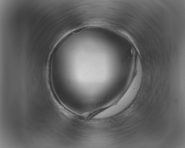 X0000074041147200609061201