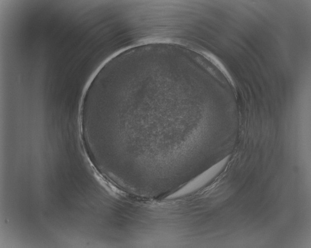 X0000074041148200609061201