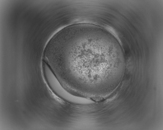 X0000074041149200609061201