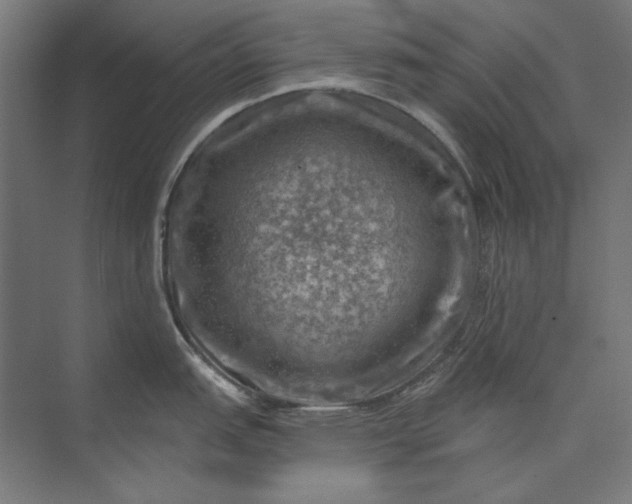 X0000074041151200609061201