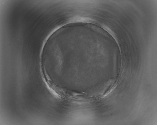 X0000074041152200609061201