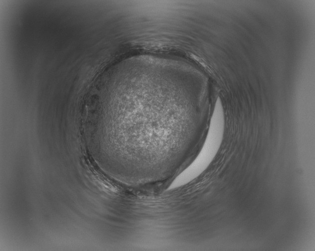 X0000074041153200609061200