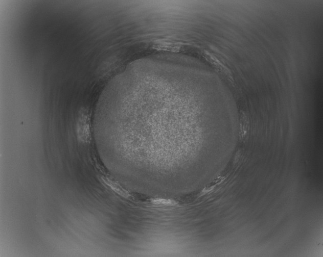 X0000074041154200609061200