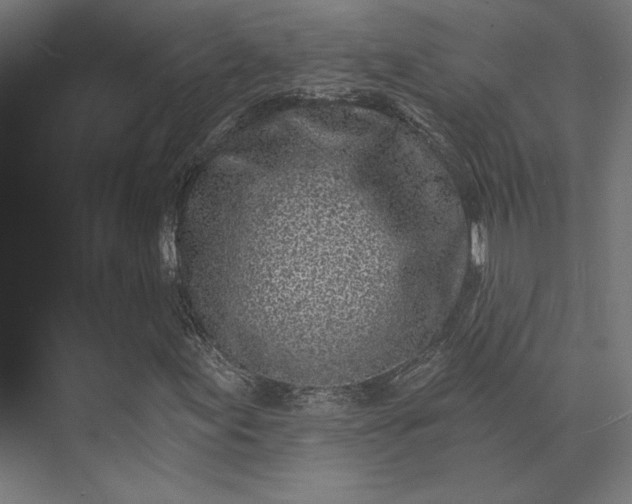 X0000074041155200609061200