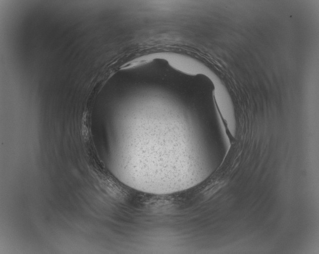 X0000074041156200609061200