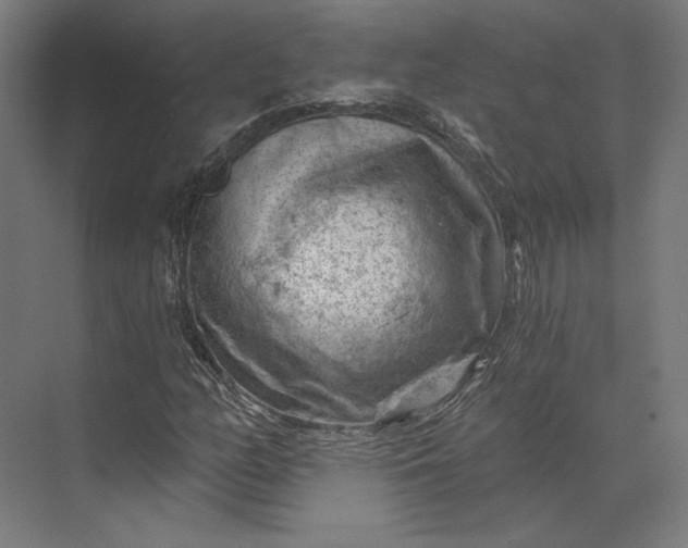 X0000074041158200609061200