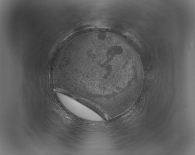 X0000074041159200609061200