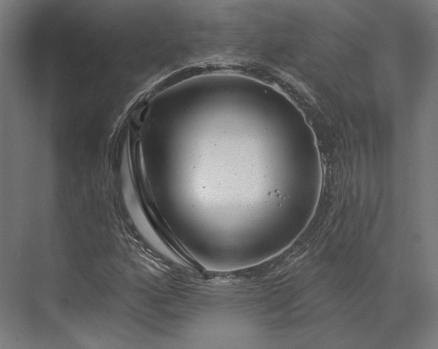 X0000074041160200609061200