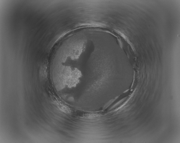 X0000074041163200609061200