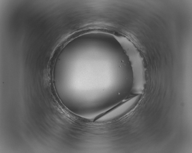 X0000074041164200609061200