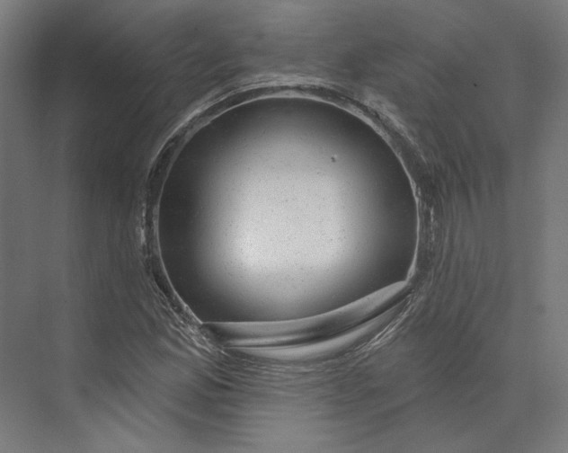 X0000074041165200609061200