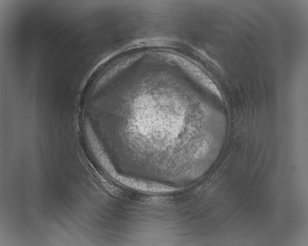 X0000074041166200609061200