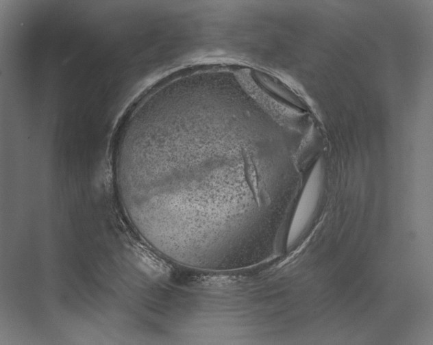 X0000074041167200609061200