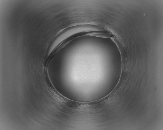 X0000074041169200609061200