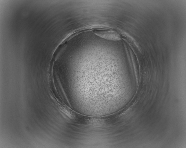 X0000074041170200609061200