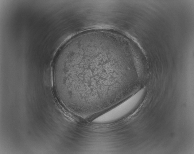 X0000074041171200609061200