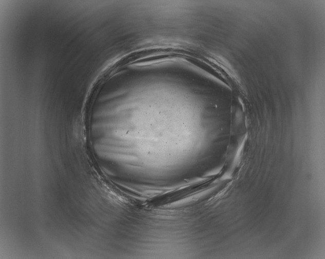 X0000074041172200609061200