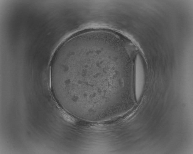 X0000074041175200609061200