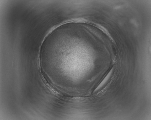 X0000074041176200609061200