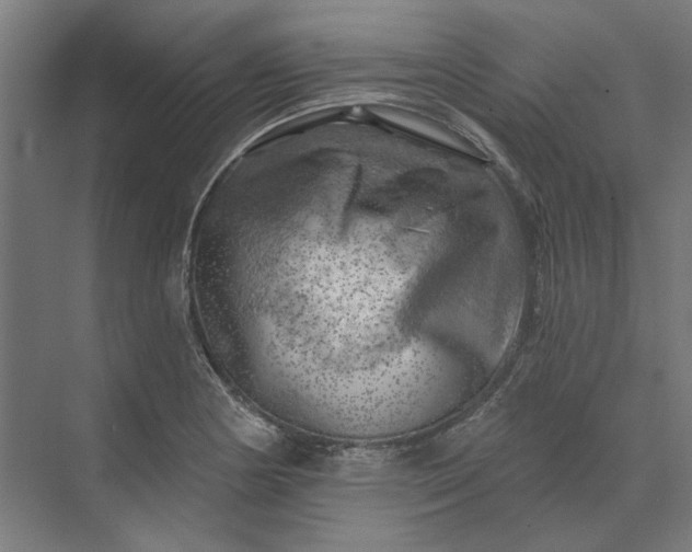 X0000074041178200609061200