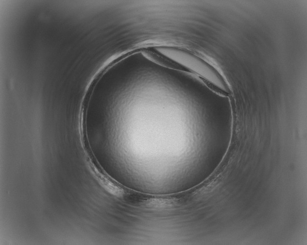 X0000074041179200609061200