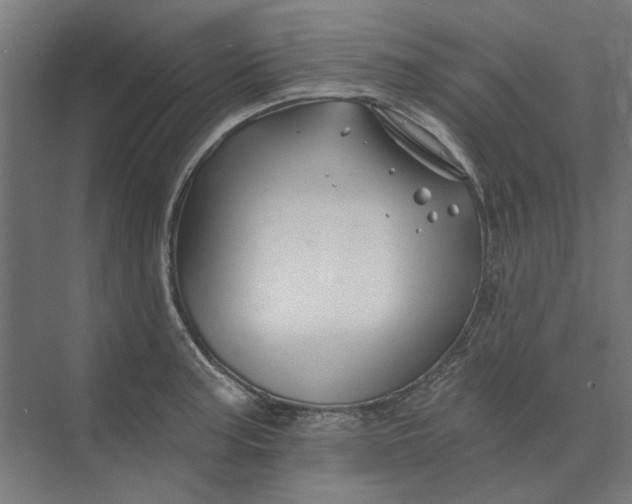 X0000074041187200609061159