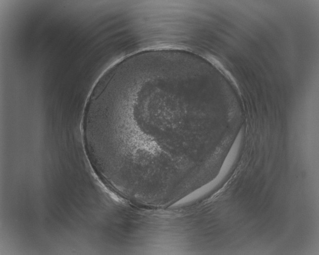 X0000074041189200609061159