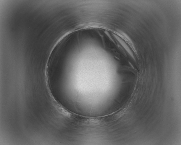 X0000074041190200609061159