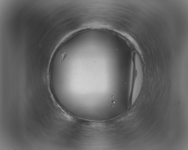 X0000074041191200609061159