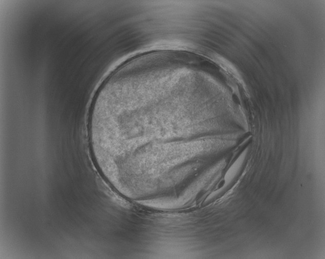 X0000074041192200609061159