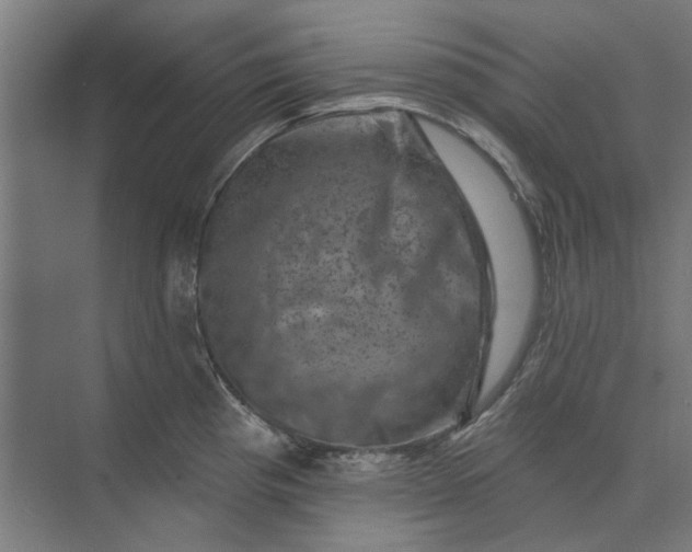 X0000074041193200609061159