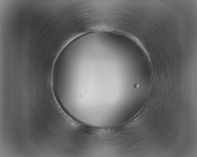 X0000074041195200609061159