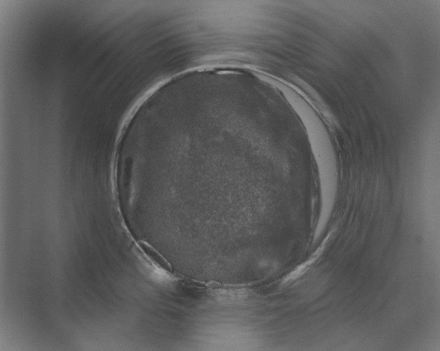 X0000074041196200609061159